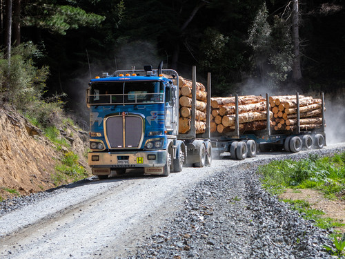 Dynes logging truck