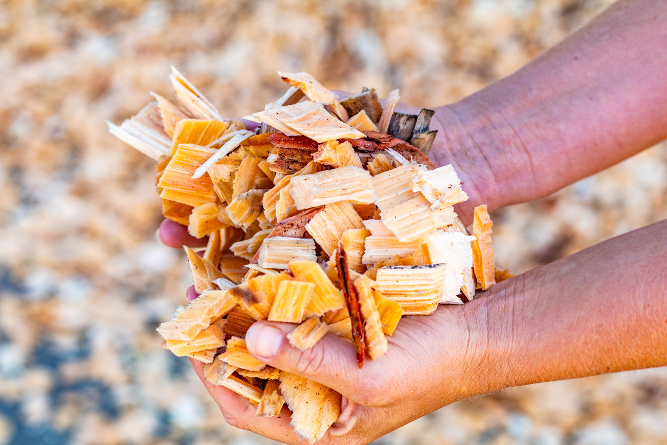 Animal Bedding Bulk & Dry Goods Dynes Wood chip, sawdust, shavings, & post peelings