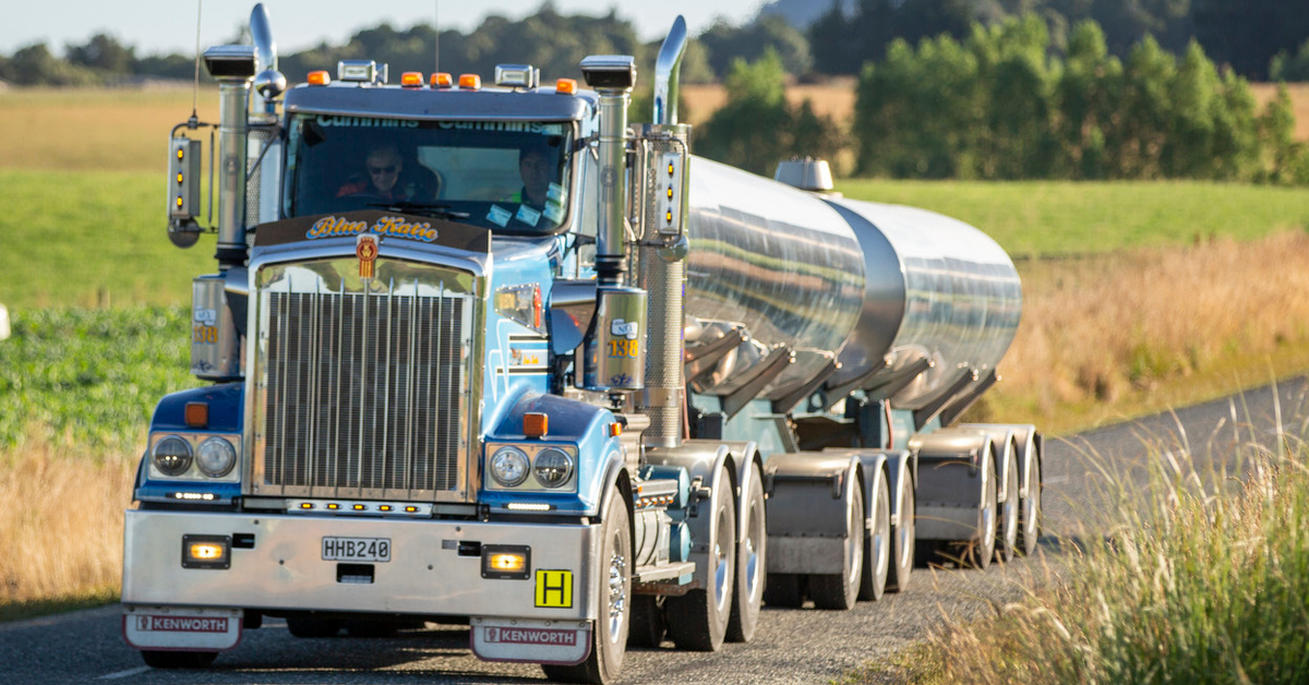 Dairy Dynes Involved in the dairy industry since 1994