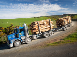 Dynes Logging Truck