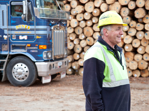 Dynes logging transport staff