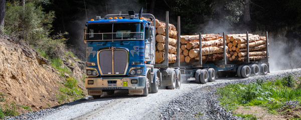 Dynes Transport Logging Truck
