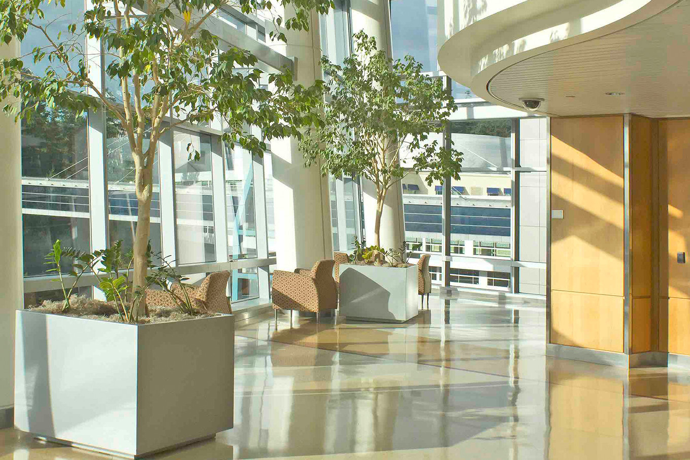 Artisan Window Cleaning Domestic and Commercial Dunedin and Mosgiel