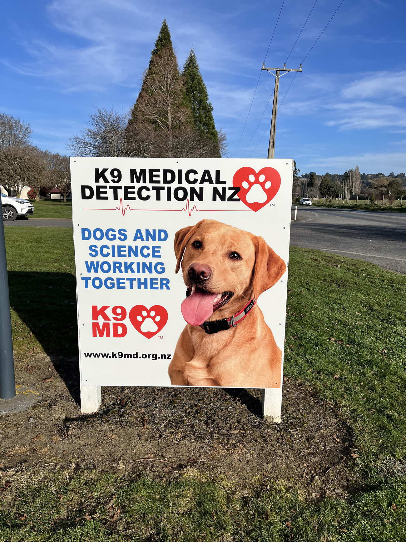 New Road Sign
