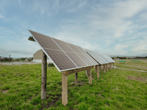 Solar Panels at Bowalley Free Range farm power our chicken houses