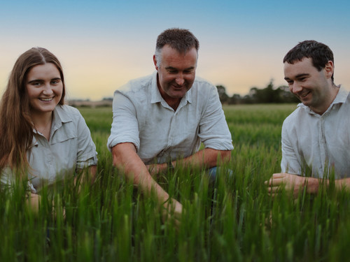 Anna, Brent and Tim from Bowalley Free Range farm inspecting the crop yield
