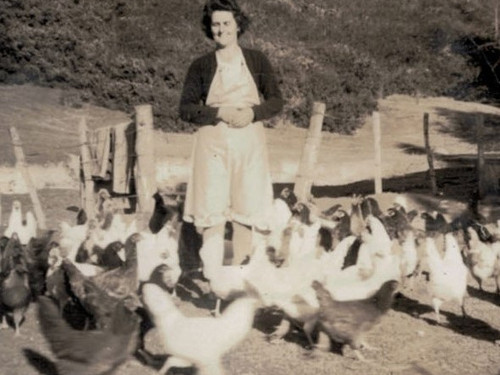 A historical picture of the Craig family out feeding the hens