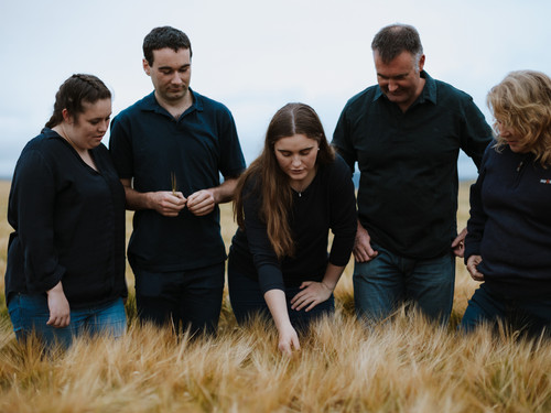 On Bowalley Free Range farm we grow Barley and Wheat for our chickens