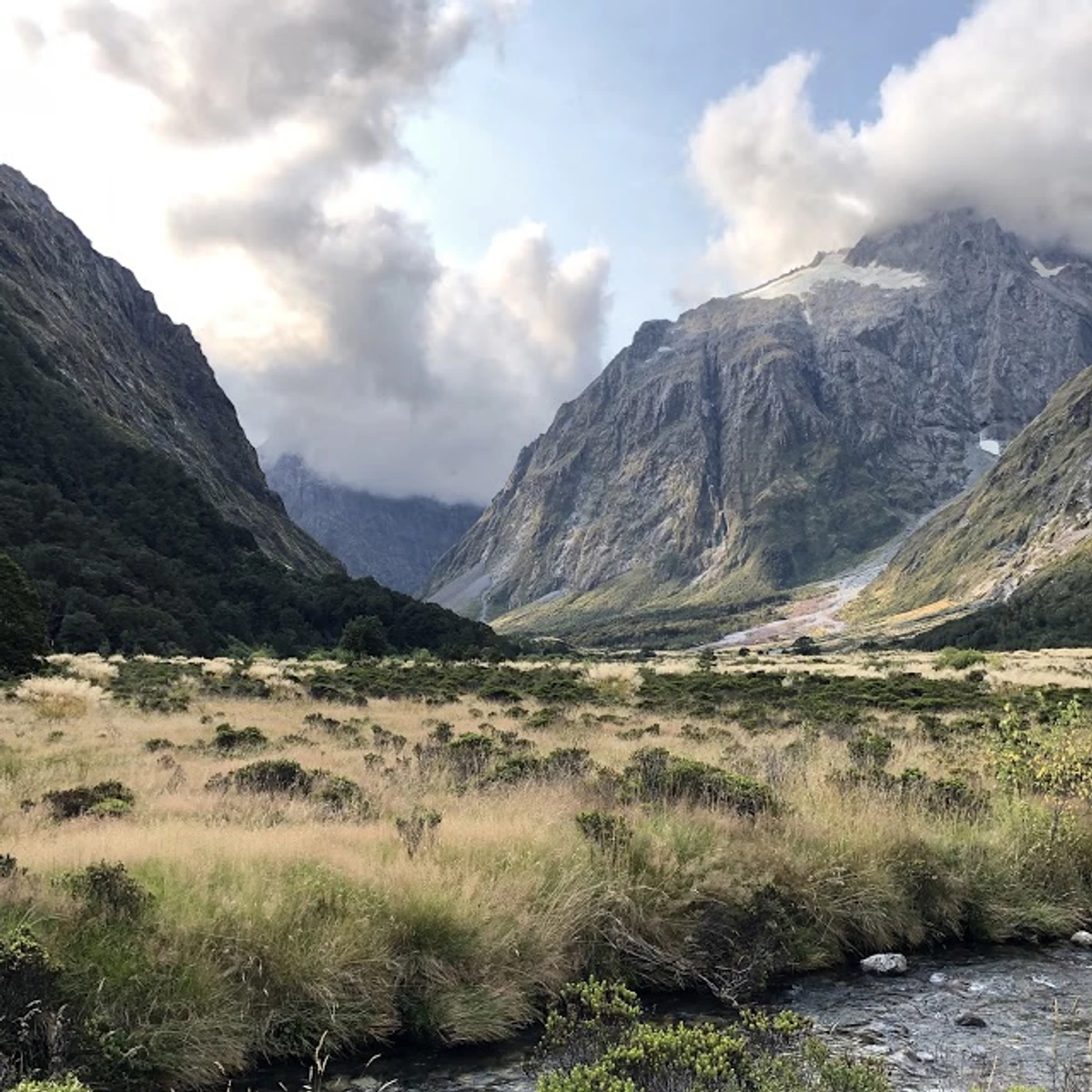 Upper Hollyford Valley tussocklands