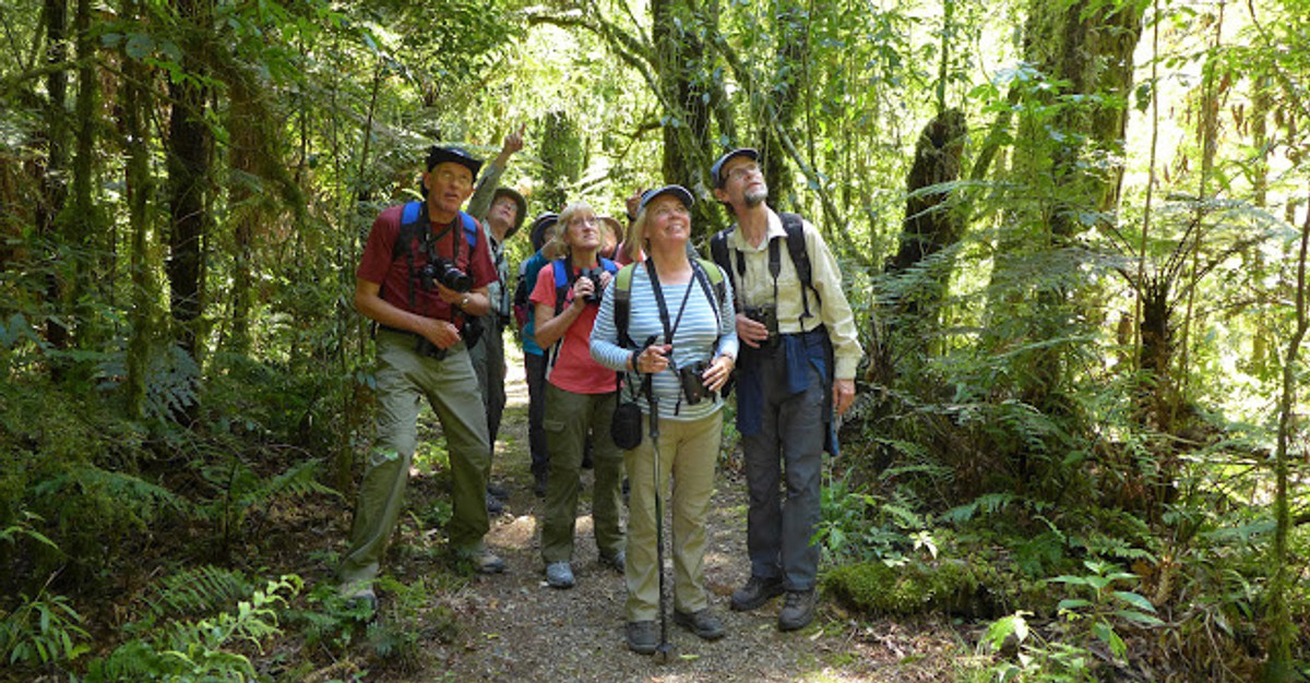 Nature Tours | Trips | Nature Quest New Zealand | Explore wild NZ