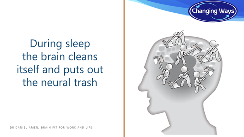 Why sleep is important for your brain